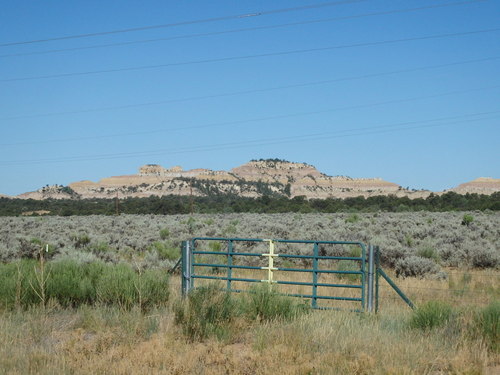 GDMBR: We were noticing more and more the Green Gates with the Yellow Center Posts.